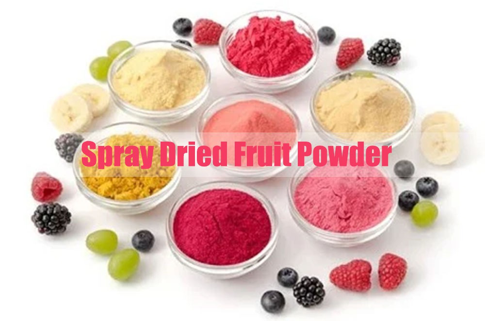 Spray Dried Fruit Powder price.jpg